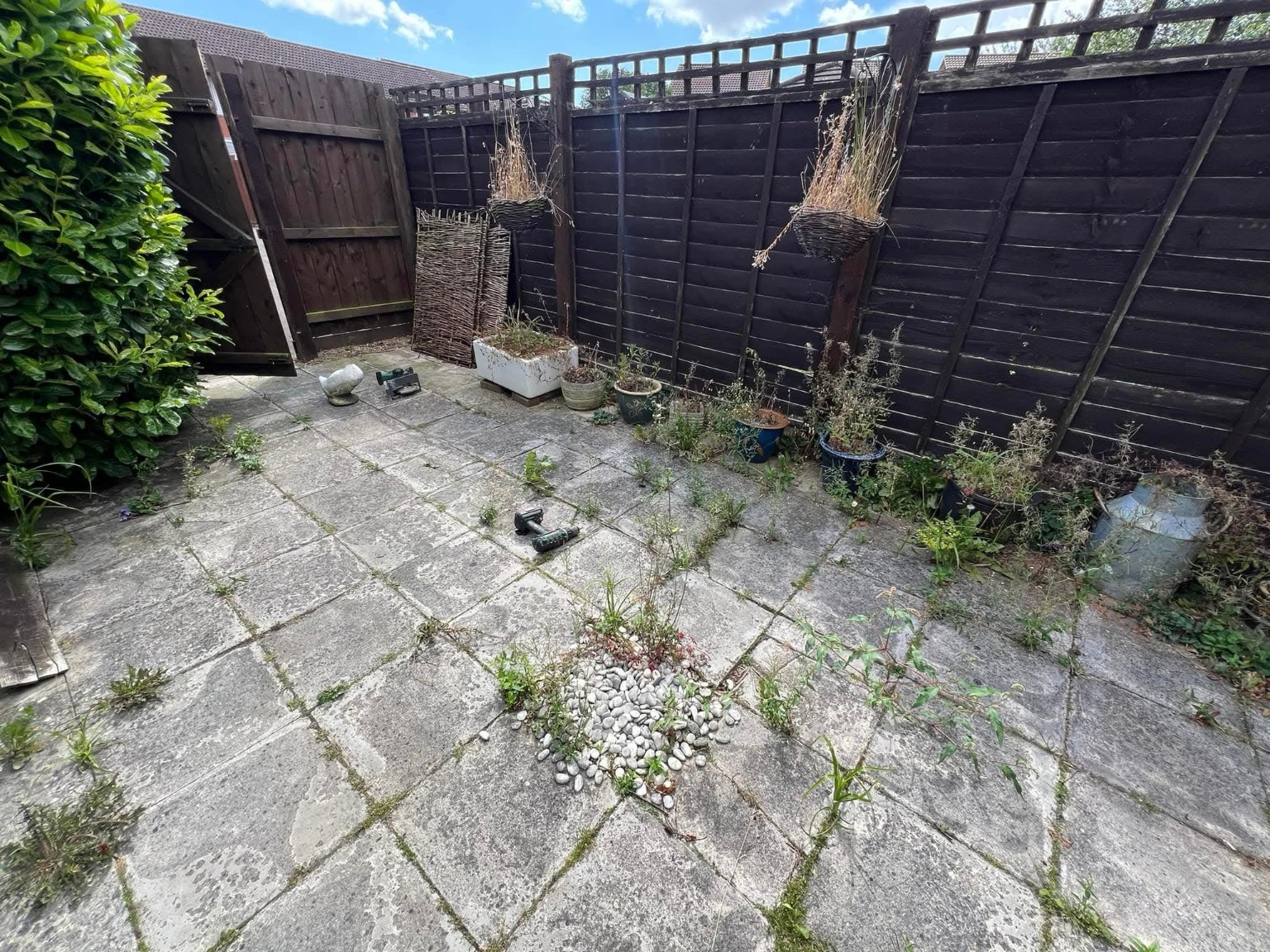 Weeds growing between patio slabs